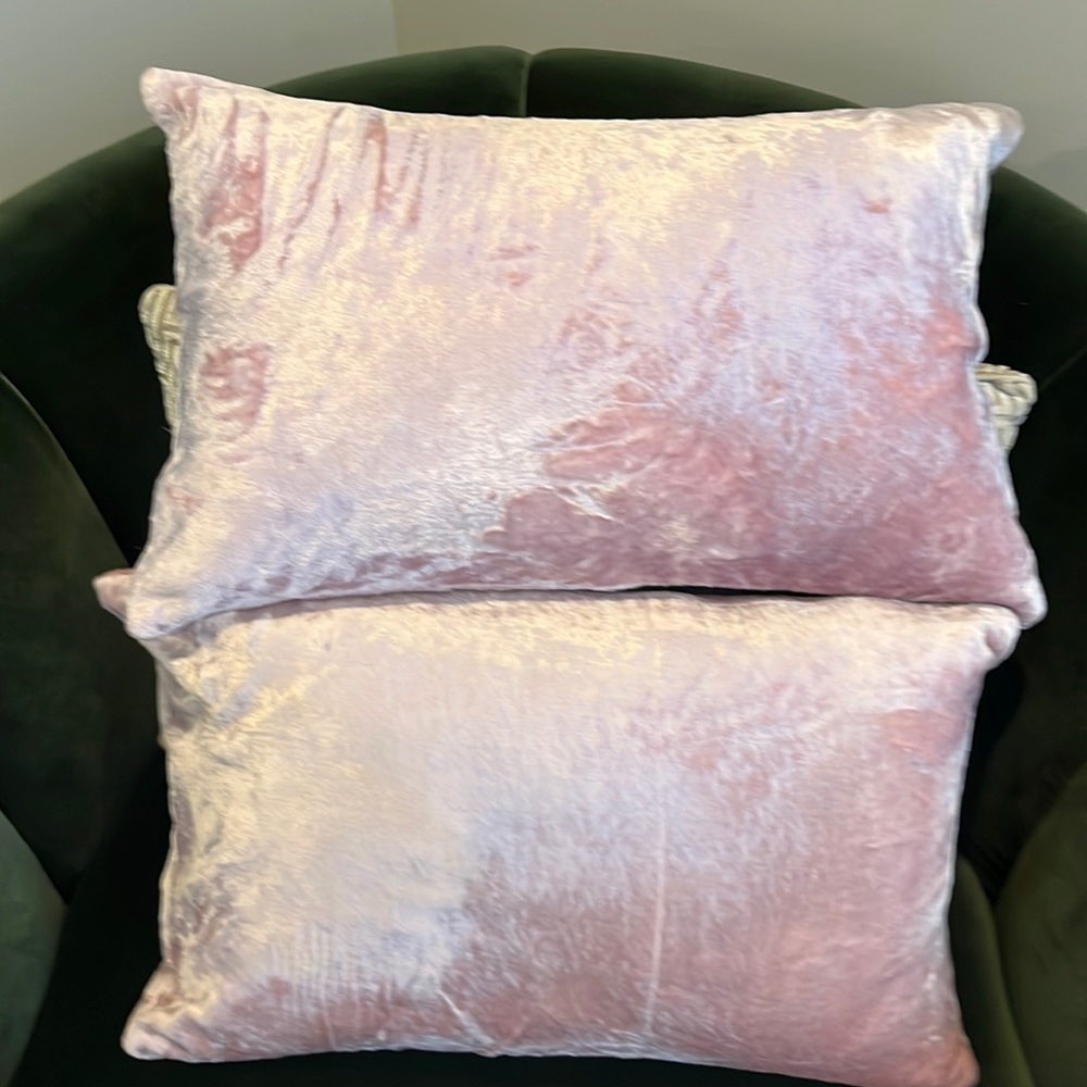 Pair of 18x 11 pink plush pink pillows